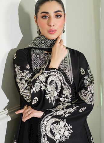 Embroidered Chiffon Ladies Readymade