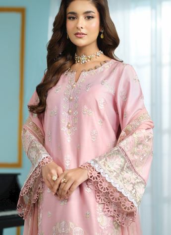 Embroidered Chiffon Ladies Readymade