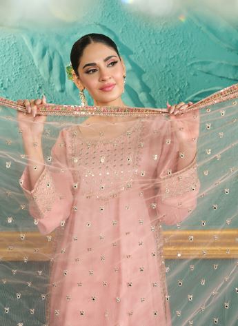 Embroidered Cotton Ladies Readymade