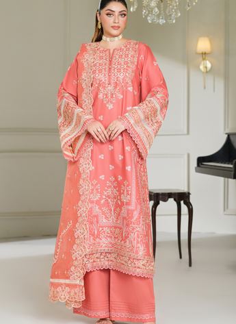 Cutwork Organza Ladies Readymade