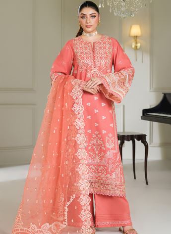 Cutwork Organza Ladies Readymade