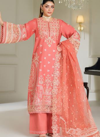Cutwork Organza Ladies Readymade