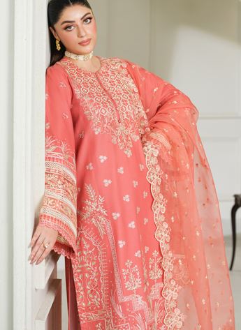 Cutwork Organza Ladies Readymade
