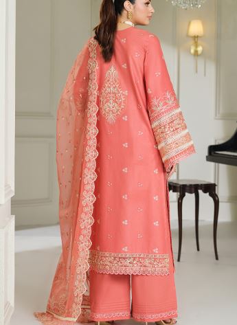 Cutwork Organza Ladies Readymade