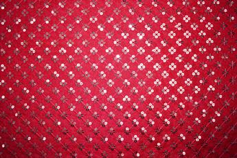 Red Embroidery and Sequins on Organza Fabric.