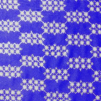 Royal Embroidery on Chiffon Fabric