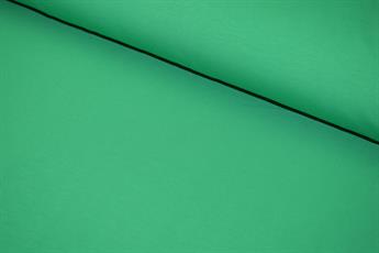 Emerald Cotton Plain Jersey