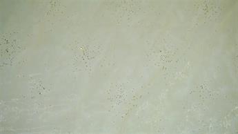 Gold Organza Hologram Sprinkels