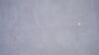 Lilac Organza Hologram Sprinkels