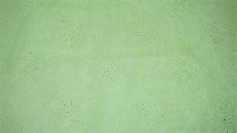 Lime Organza Hologram Sprinkels
