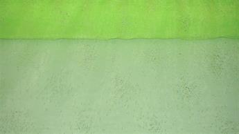 Lime Organza Hologram Sprinkels