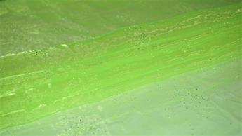 Lime Organza Hologram Sprinkels