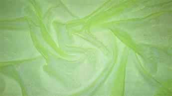 Lime Organza Hologram Sprinkels