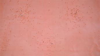 Orange Organza Hologram Sprinkels