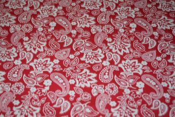 Floral Paisley