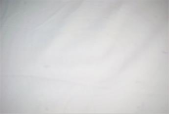 Ivory Craft Cotton Solids