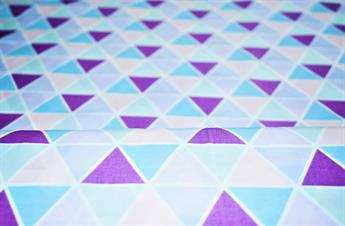 GEOMETRIC  PRINT