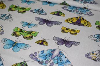 Butterflys