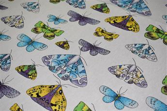 Butterflys