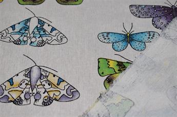 Butterflys