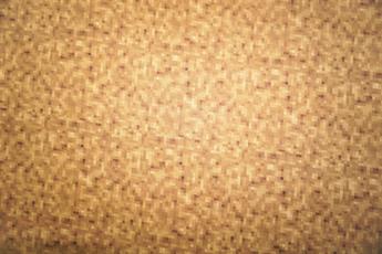 Brown Printed Cotton Fabrics
