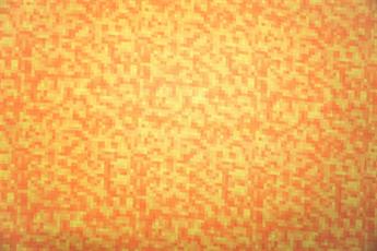 Orange Printed Cotton Fabrics