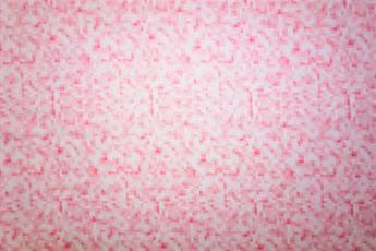 Pink Printed Cotton Fabrics
