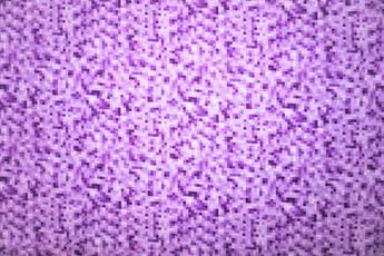 Purple Printed Cotton Fabrics