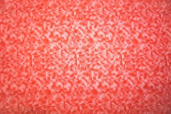 Red Printed Cotton Fabrics