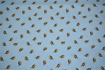 Light Blue Cotton New Arrivals