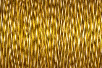 9928 - Wasp Cotton Guterman Natural 800m