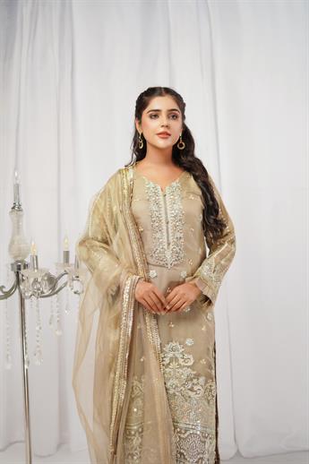 Beige Gold Embroidered Net Ladies Readymade