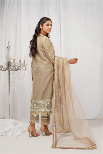 Beige Gold Embroidered Net Ladies Readymade