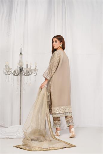 Beige Gold Embroidered Net Ladies Readymade
