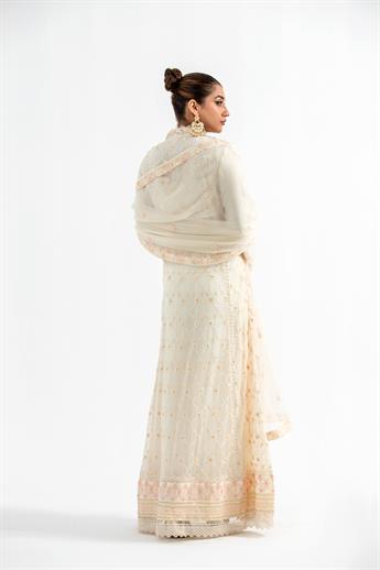 Cream Embroidered Raw Silk Maxi Ladies Readymade