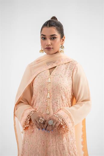 Peach Embroidered Chiffon Ladies Readymade