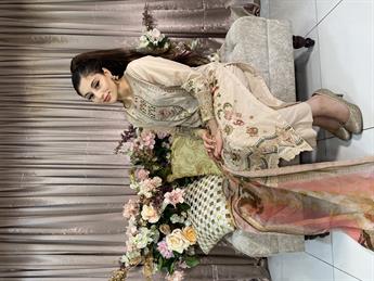 Beige Embroidered Chiffon Ladies Readymade