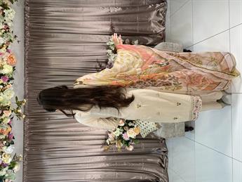 Beige Embroidered Chiffon Ladies Readymade