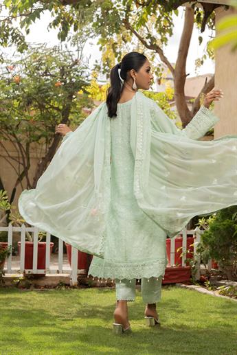 Mint Embroidered Raw Silk Ladies Readymade