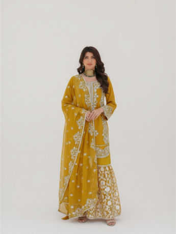 3pc- Stunning chiffon kameez with pearl/thread and tilla embroidery work all over the kameez. Chiffo