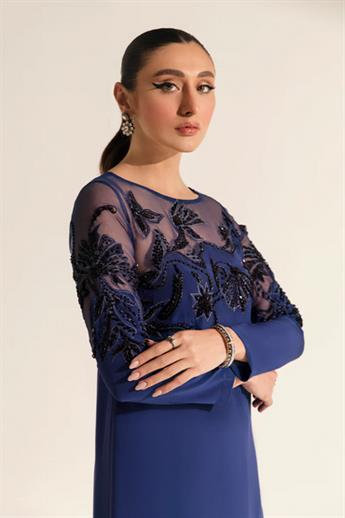 Blue Embroidered Organza Ladies Readymade