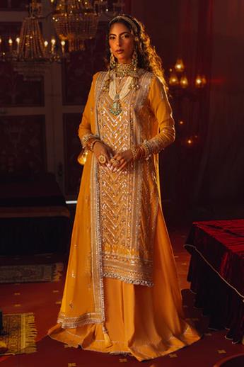 SALITEX NORA FESTIVE COLLECTION:
Description
Light up the room in this soft tangerine chiffon Zari