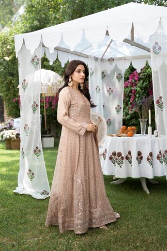 Dusky Pink Embroidered Chiffon Ladies Readymade