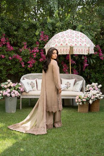 Dusty Pink Sequinned Embroided Chiffon Suit