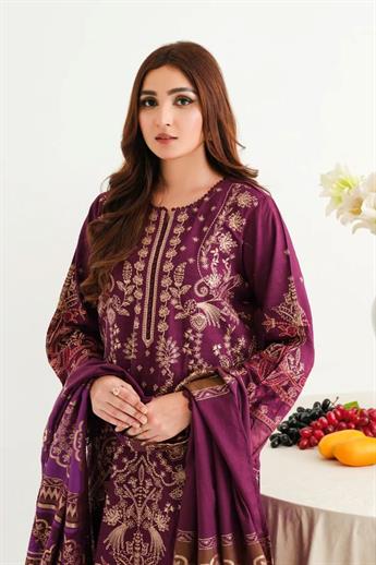 Plum Embroidered Organza Winter Collection
