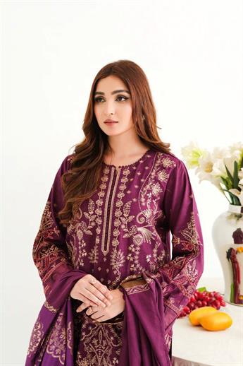 Plum Embroidered Organza Winter Collection