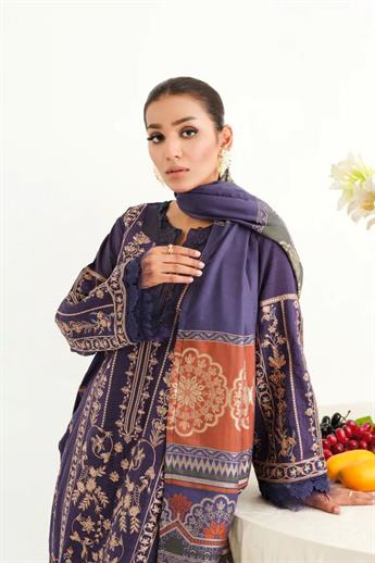 Navy Blue Embroidered Organza Winter Collection