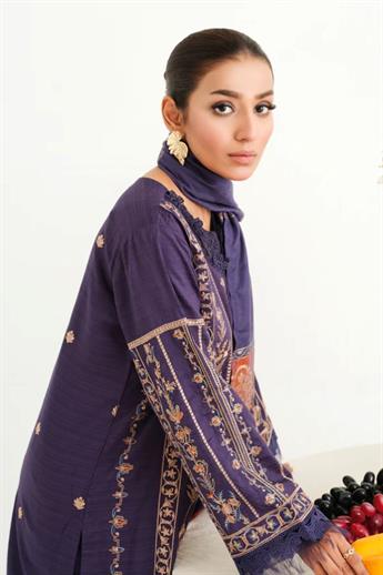 Navy Blue Embroidered Organza Winter Collection
