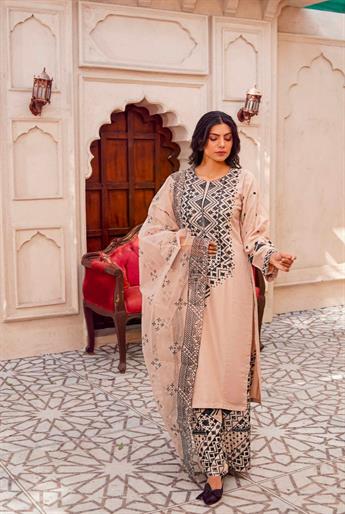 Beige & Black Ladies Readymade