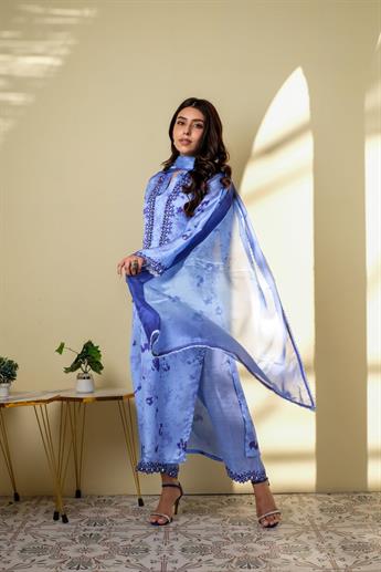 Blue Mirror Work Raw Silk Ladies Pret